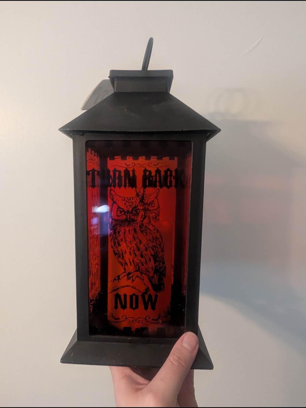 Harry Potter Hedwig Halloween Lantern Color Changing Light Candle, Turn Back Now